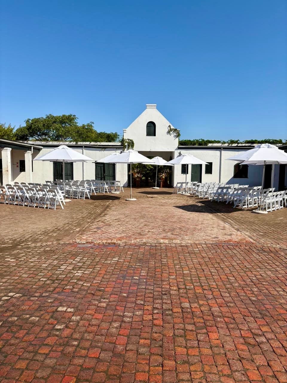 Wild Compass - Image 2