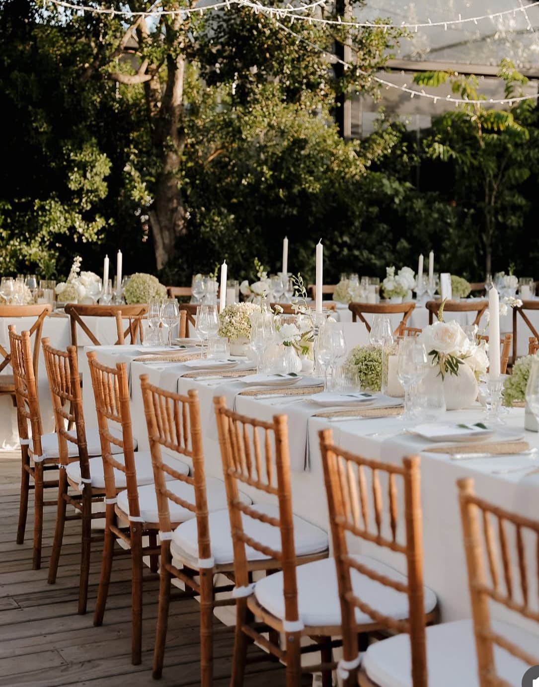 Wild Compass - Image 4